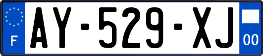 AY-529-XJ