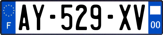 AY-529-XV