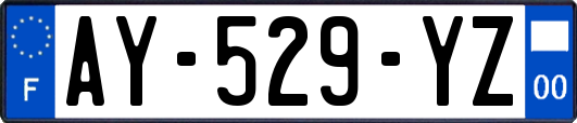 AY-529-YZ