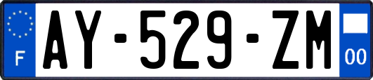 AY-529-ZM