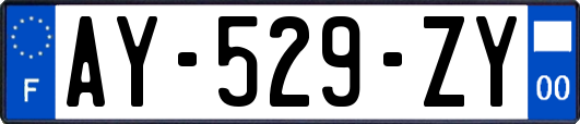 AY-529-ZY
