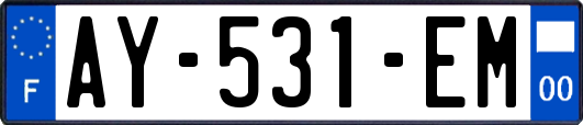 AY-531-EM