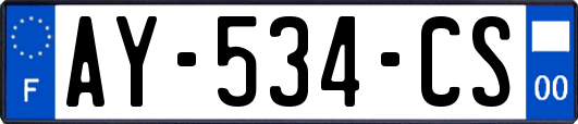 AY-534-CS