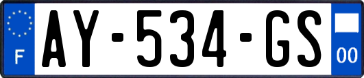 AY-534-GS