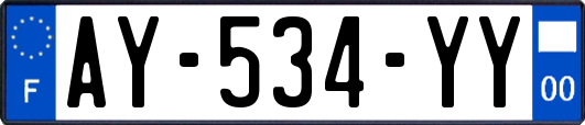 AY-534-YY