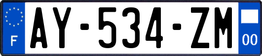 AY-534-ZM
