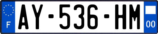 AY-536-HM