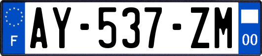 AY-537-ZM