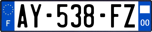 AY-538-FZ