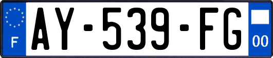 AY-539-FG