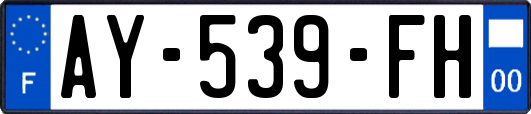 AY-539-FH