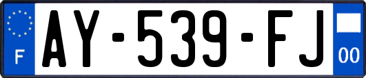 AY-539-FJ