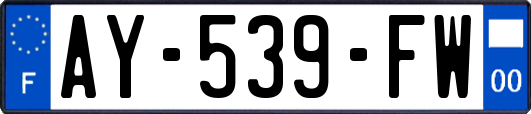 AY-539-FW