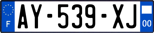 AY-539-XJ