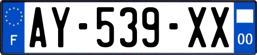 AY-539-XX