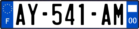 AY-541-AM