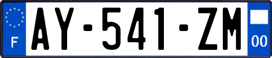 AY-541-ZM