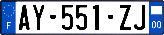 AY-551-ZJ