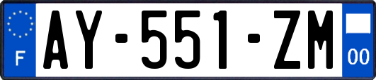 AY-551-ZM