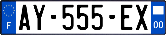AY-555-EX