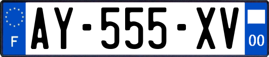 AY-555-XV