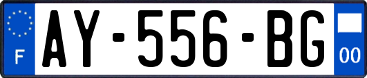 AY-556-BG