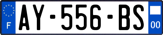 AY-556-BS