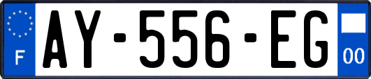 AY-556-EG