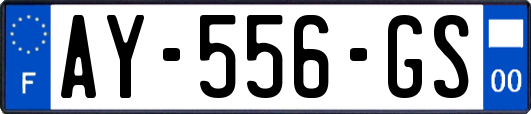 AY-556-GS