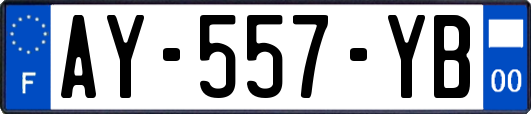 AY-557-YB