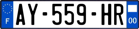 AY-559-HR