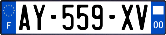 AY-559-XV