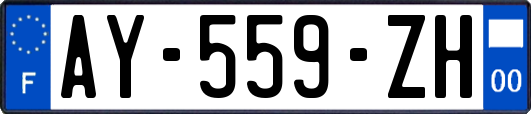 AY-559-ZH