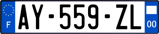 AY-559-ZL