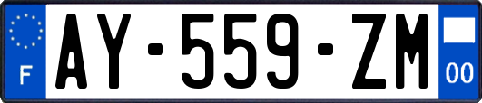 AY-559-ZM