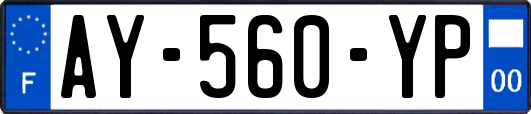 AY-560-YP