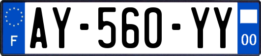 AY-560-YY