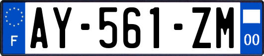 AY-561-ZM