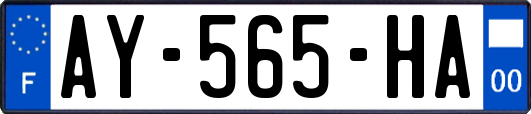 AY-565-HA