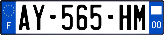 AY-565-HM