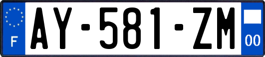 AY-581-ZM
