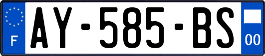 AY-585-BS