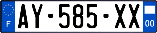 AY-585-XX