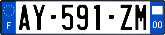 AY-591-ZM