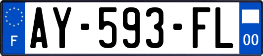 AY-593-FL