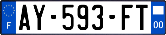 AY-593-FT