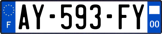 AY-593-FY
