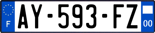 AY-593-FZ