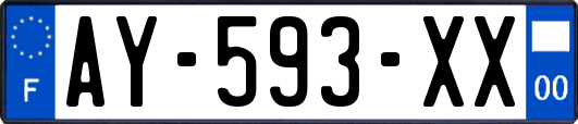 AY-593-XX
