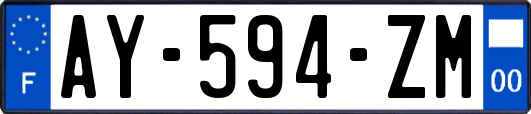 AY-594-ZM